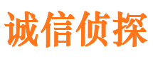 临川捉小三公司